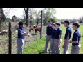 Singing for the Cows - American Boychoir School ...