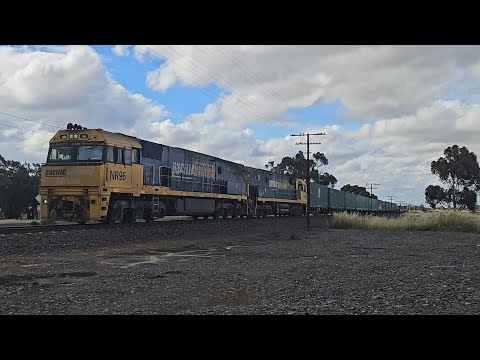 7PM5 PN up "Linfox Express" (NR96, NR94, 62P), Perth to Melbourne, 1730, 18/11/25, Pimpinio VIC 