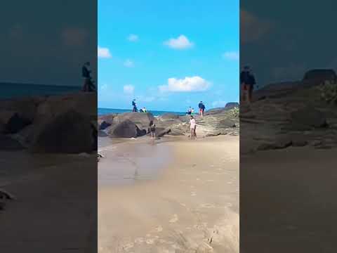 praia de xaréu cabo de santo Agostinho Pernambuco