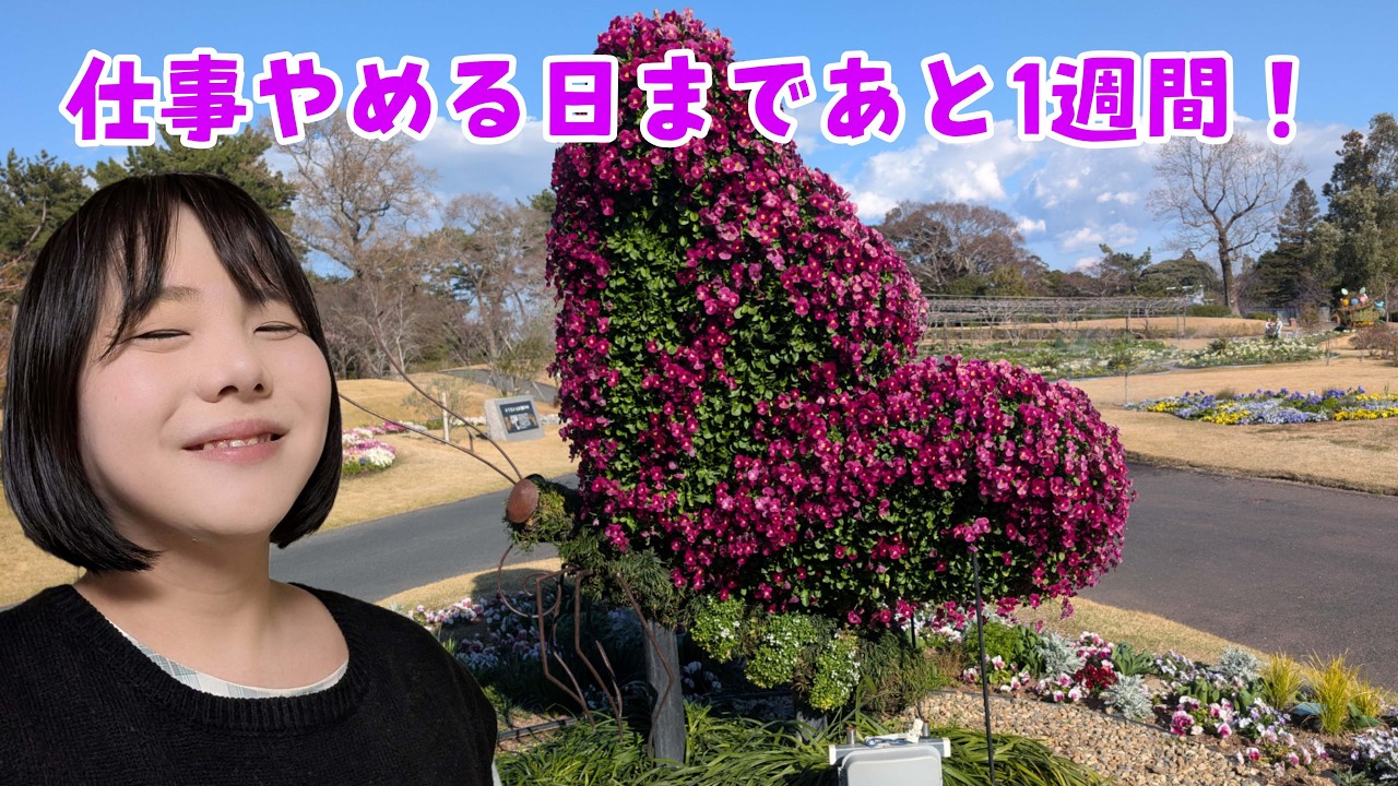 仕事やめる日まであと1週間！ Japan Aichi Live.