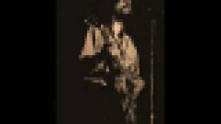 Raul Seixas - Metamorfose Ambulante (REMIX)