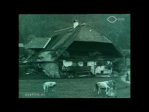 Durchs Albtal nach Sankt Blasien