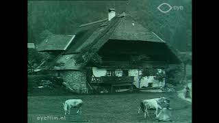 Durchs Albtal nach Sankt Blasien