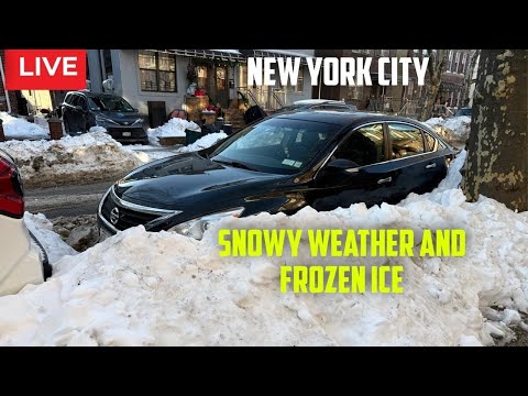 New York City: Snowy Winter Freezing | Brooklyn Saturday Live