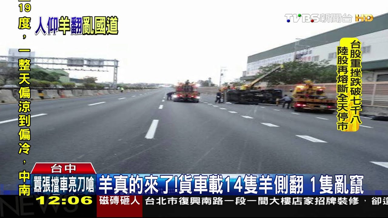 羊真的來了!貨車載14隻羊側翻 1隻亂竄