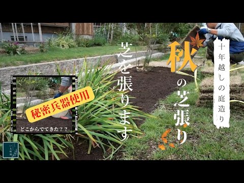 芝生を張り替える季節は？