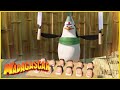 DreamWorks Madagascar En Español Los Pingüinos Compilación Dibujos Animados Para Niños