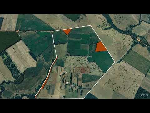 Duas áreas rurais vizinhas em Goiás disponíveis em leilão