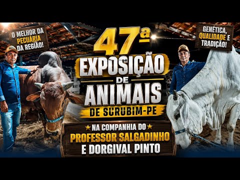 47ª EXPOSIÇÃO DE ANIMAIS DE SURUBIM-PE NA COMPANHIA DO PROFESSOR SALGADINHO E DORGIVAL PINTO