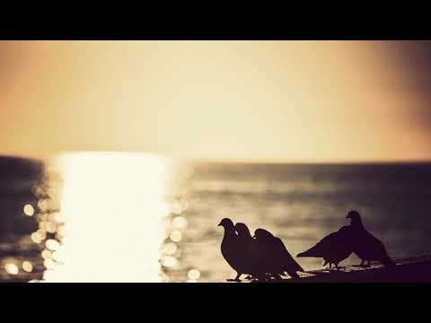 Alberto Blanco: Eternal Sunshine (Niceshot Remix)