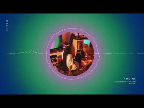 Alduts Sherdley - Zile trec (Visualizer)