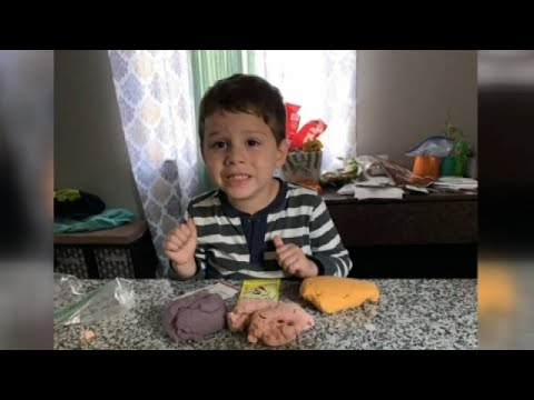 4 year old boy mauled and killed by friend's Pit Bull