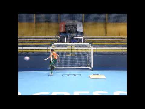 TREINO ESPECÍFICO DE ALTO RENDIMENTO COM O GOLEIRO ALÊ  FALCONE