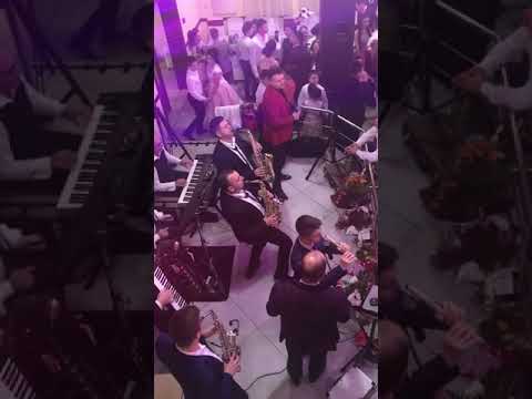 Puiu Codreanu și formația Adi Neamțu nunta Jina