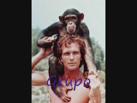 Grupo Jamaica - Cuidado La BombaChita