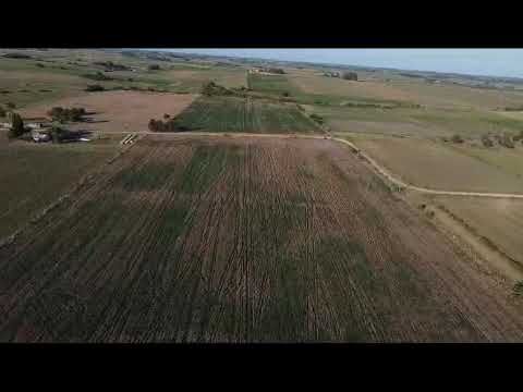 Chacra en Costas de Pereira, San José – A solo 6 km de Ruta 1, excelente ubicación y entorno natural