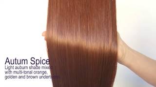 "Autumn Spice" (#30) Hair Extensions By Ladore Hair