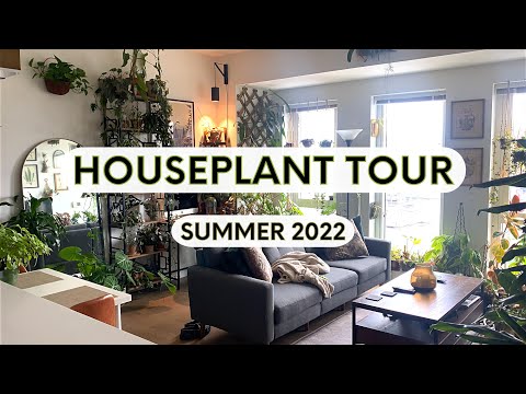 Houseplant Tour (300+ Plants) | Summer 2022