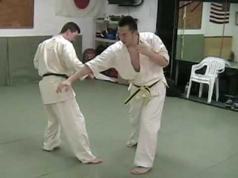 Ashihara Karate U.S.A.
