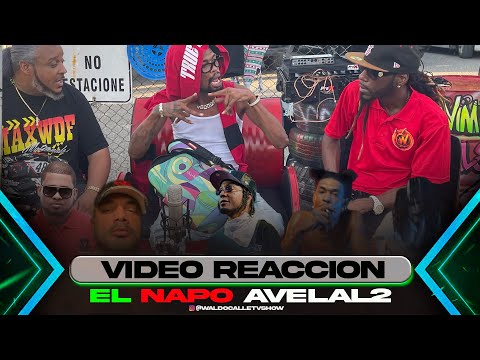 NAPO LA CABRA SOY YO TIRADERA PA AL2 ROCHY LAPIZ ( VIDEO REACCION ) DESIFRANDO CODIGO