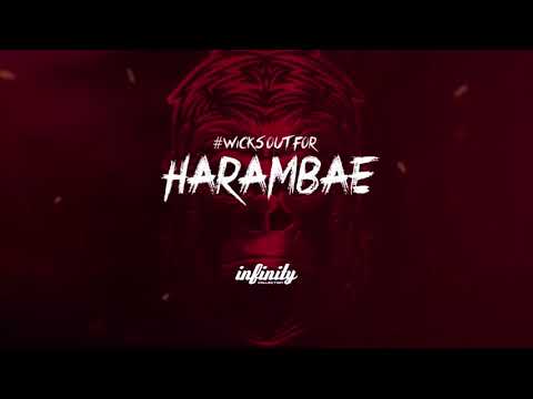 12 Monkeys Vapor Co HARAMBAE E-Liquid at Vape Orders