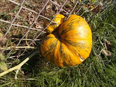 Szendrő körül gyalogszerrel