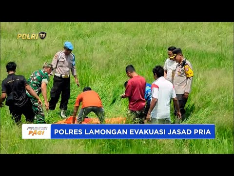 POLSEK BABAT LAMONGAN EVAKUASI JASAD PRIA YANG DITEMUKAN MENINGGAL DUNIA DI AREA PERSAWAHAN