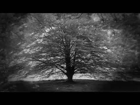 "Atmosphere" - Nick Rezo feat. MeLLLo