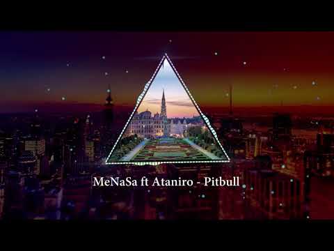 MeNaSa ft Ataniro - Pitbull