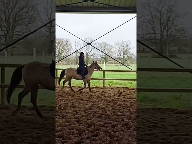 M&eacute;t&eacute;o d'Arquetan