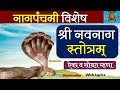 श्री नवनाग स्तोत्र Anantam Vasukim Shesham With Lyrics Meaning Navna