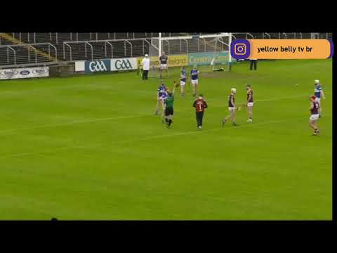 Laois v Wexford 2022 hurling championship