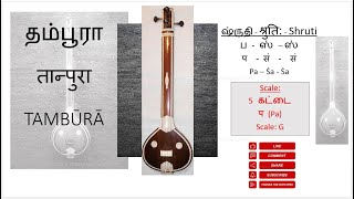 Download lagu தம்பூரா तान्पुरा TAMBŪRĀ | 1 hour Video | Scale: 5 கட்டை | प (Pa) | Scale: G mp3 Download lagu தம்பூரா तान्पुरा TAMBŪRĀ | 1 hour Video | Scale: 5 கட்டை | प (Pa) | Scale: G mp3