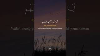 Download lagu Nasyid Aya Man Yadda'il Fahm | Syeikh Mishary Rashid Alafasy mp3