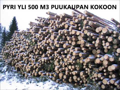 Metsolan Metsäkoulu 18, Panosta puukauppaan. Muokattu versio.