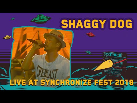 Shaggy Dog LIVE @ Synchronize Fest 2018