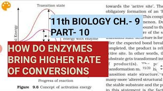 Class 11 Biology||Ch.-9||Part-10||How do enzymes bring higher rates of conversions||Study with Farru