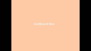 Cardboard Box - Emma & Katie