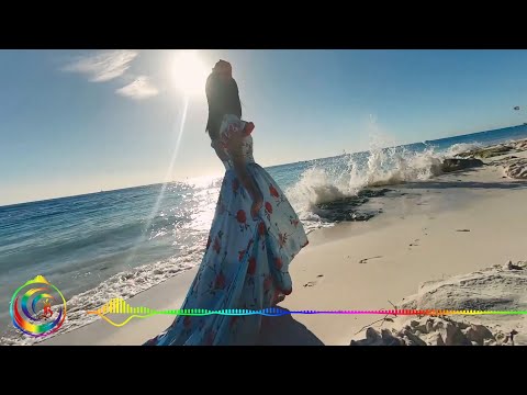 Trance Atlantic Air Waves - Crocketts Theme (Killerloops Radio Cut)