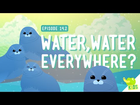 Water Water Everywhere