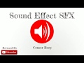 Censor Beep - Sound Effect SFX Full HD