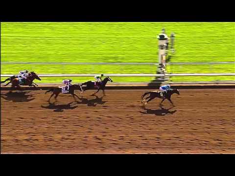 Miss Ella Returns to Keeneland for 2015 Raven Run