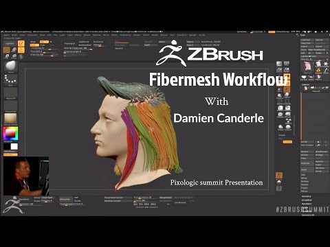 FiberMesh Workflow with Damien Canderle - Pixologic Summit (BLUR Studio) #zbrush #pixologic