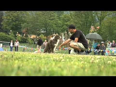 Outer Rim Cup Beitrag Donau TV