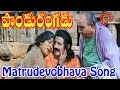 Pandurangadu Matrudevobhava Bala Krishna Emotional Song