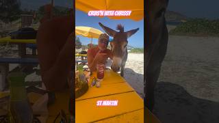 He Ate My Lunch!! 🤣 #travel #beach #funny #shorts