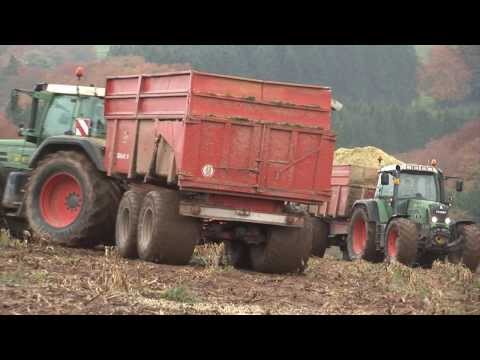 Lohnunternehmen Reiff im Einsatz: Maisernte