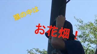 音楽はお好きですか？[Super Audio Device lol]