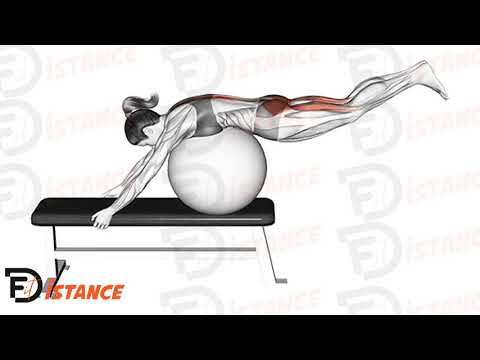 Exercice Hyperextension inversée avec ballon (Swiss Ball) sur banc