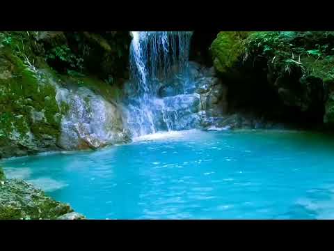 10 Hours - Morning Bird Songs and River Sounds for the Best Start of the Day - Morning River